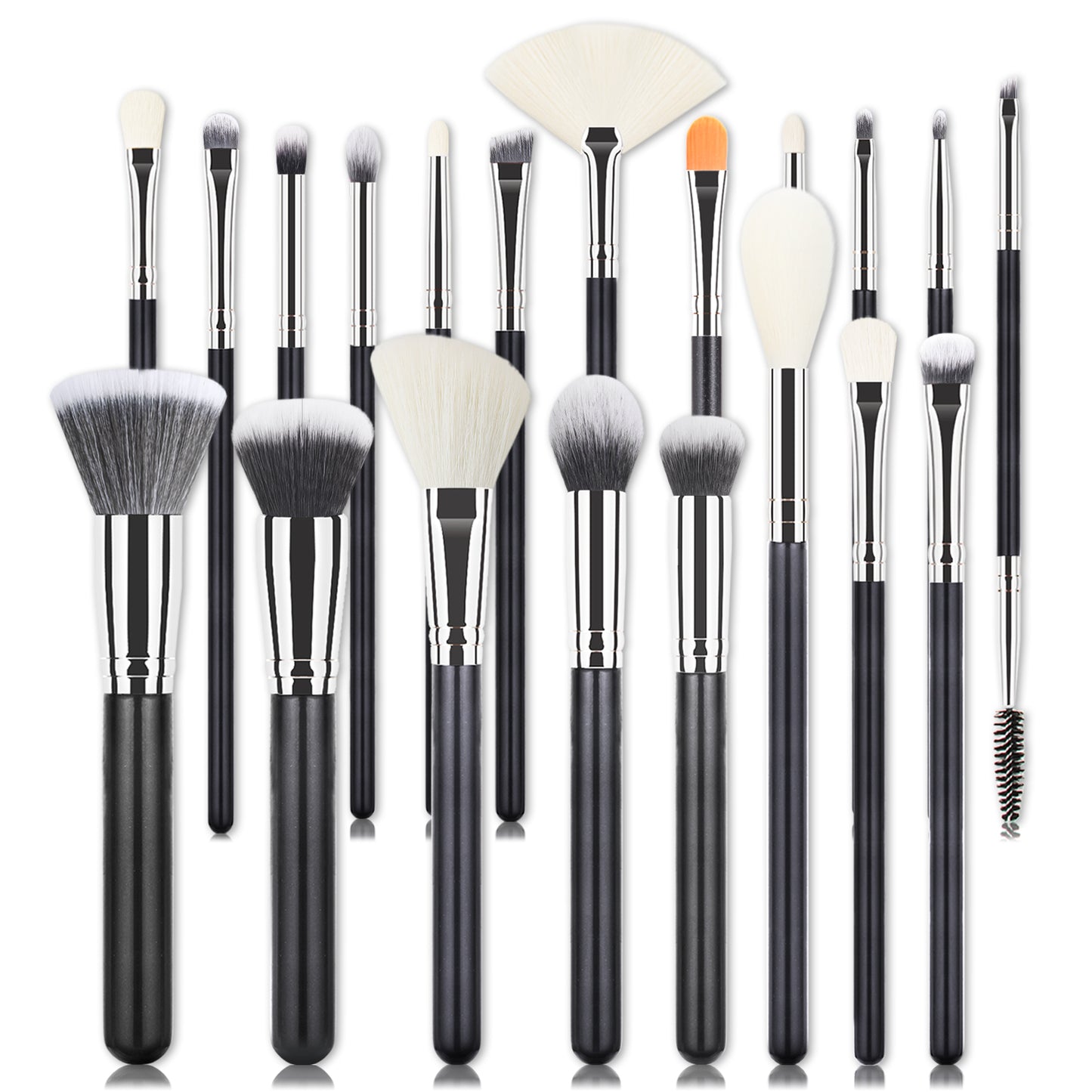 Bs Brush Collection